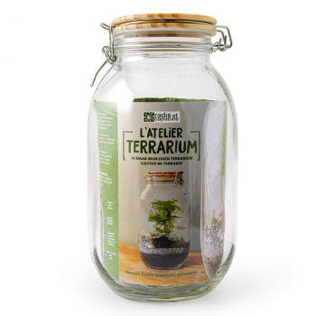 Terrarium à faire soi même - Asparagus
