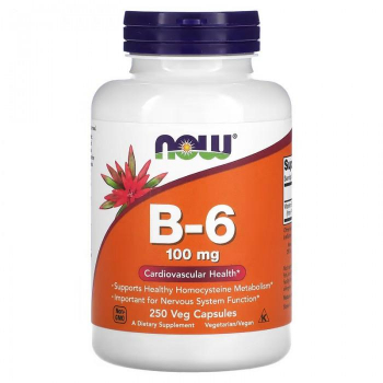 Vitamine B6 - 100 mg - 250 Capsules - Now 