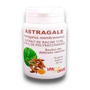 Astragale  - Extrait de Racine - 60 gélules - Vital osmose 