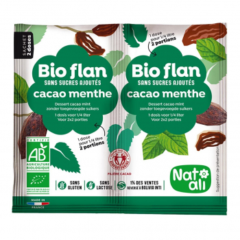 Bioflan chocolat-menthe sans sucres ajoutés 10g bio - Nat-Ali