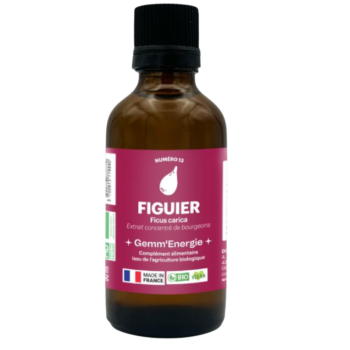 Bourgeons de Figuier 50 ml Gemm’Energie Athanor BIO