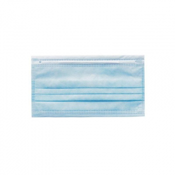 48 escargots gros gris BIO (moyenne taille)