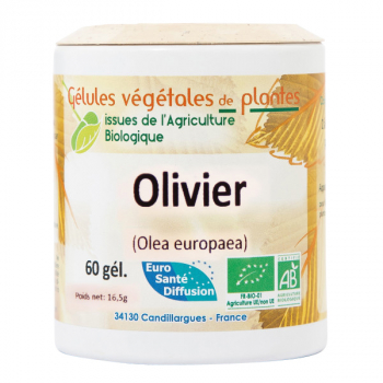 Olivier bio - 60 gélules