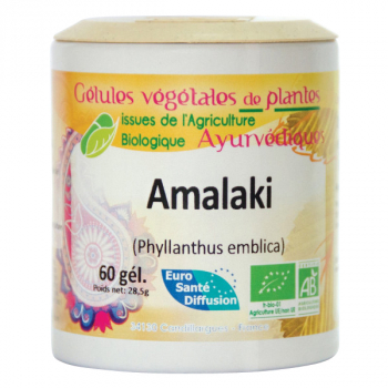 Amalaki (groseillier indien) gélules ayurvédiques - 250 gélules