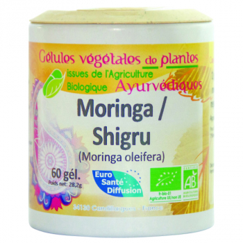 Shigru (moringa) plantes ayurvédiques - 250 gélules