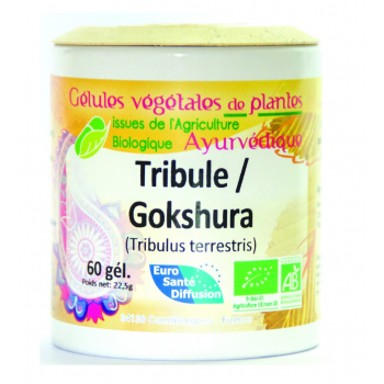 Gokshura (tribule terrestre) - 250 gélules
