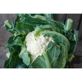 Chou-fleur bio - 1 pièce - 1kg 