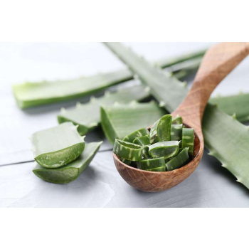 Aloe Vera bio - sachet 1 feuille - 600gr