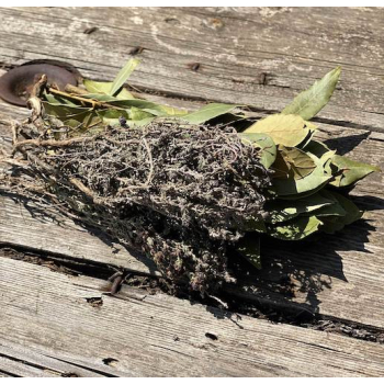 Bouquet garni bio sec -    sachet - 200gr  