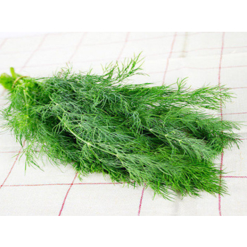 Aneth fraîche bio - sachet - 1kg