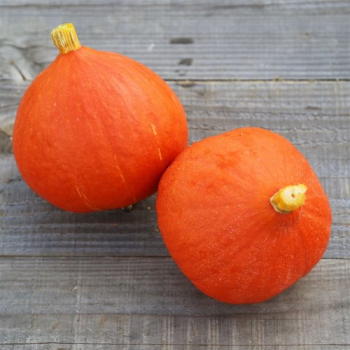 Potimarron Orange bio - 5kg