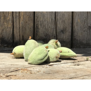 Amandes douces fraiches bio