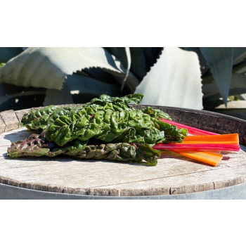 Blettes colorées bio