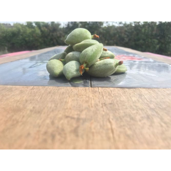 Amandes vertes fraiches bio