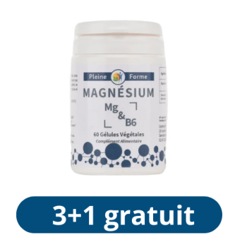 Magnésium B6-3+1gratuit-60gélules-Pleine Forme