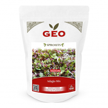 Mix Adagio - Graines à germer bio - 350g - Geo