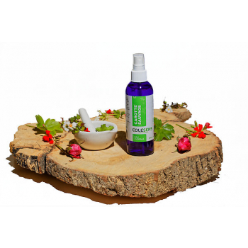 Eau Florale de Carotte sauvage BIO - 200ml