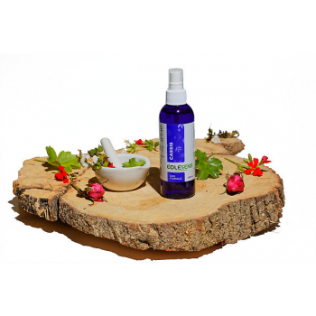 Eau Florale de Cassis BIO - 200ml