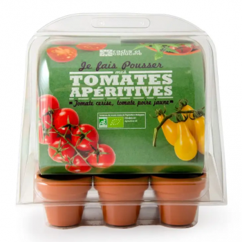 Kit Mini serre mes tomates gourmandes