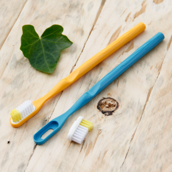 Brosse à dents rechargeable en bioplastique