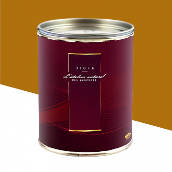 Laque Brillante Teintes Groupe 1 Ocre - 2,5 L