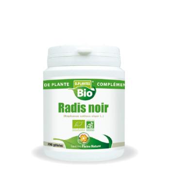 Radis Noir Bio