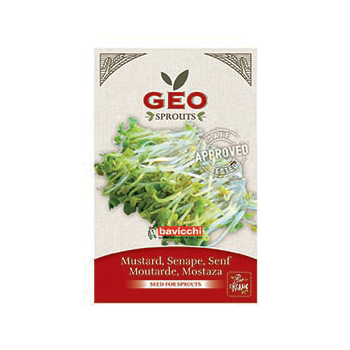 Moutarde - Graines à germer bio - 50g - Geo