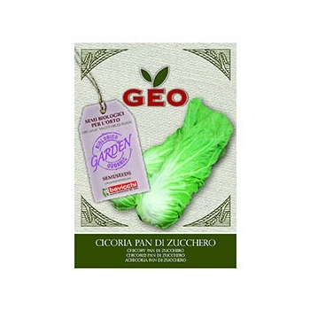 Semences pour Chicorée Pain de Sucre Bio 6g - GEO