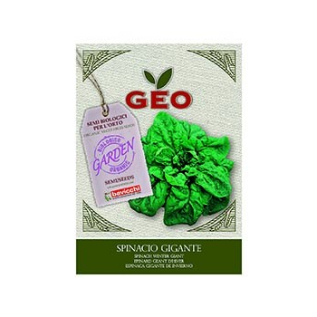 Semences pour Epinard Geant d'Hiver Bio 10g - GEO