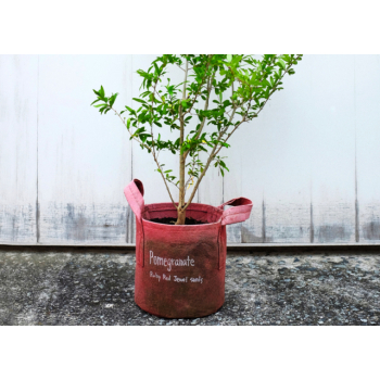 Pot en géotextile rouge 16L Root Pouch