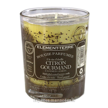 Bougie naturelle parfumée citron gourmand