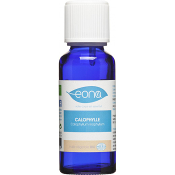 Huile de Calophylle Bio régénérante - 100 ml