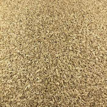 Riz Basmati Complet Bio en Vrac 25kg