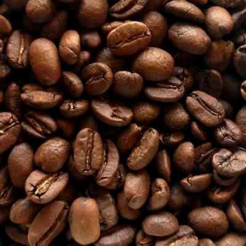 Café Arabica en Grain Bio en Vrac 10kg