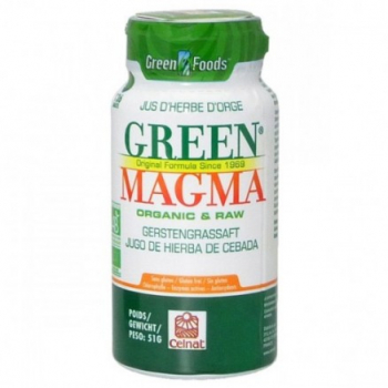 Green Magma Jus d'herbe d'orge bio 136 comprimés