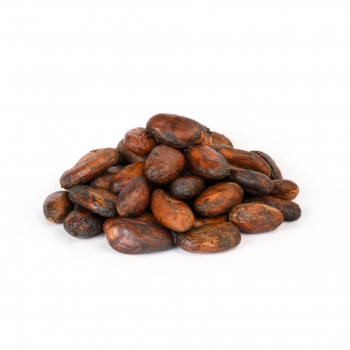 Fèves de cacao Bio - Entières crues séchées - 100g