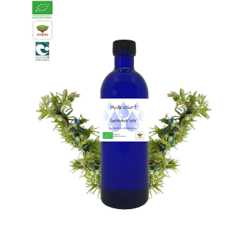 Hydrolat Genévrier bio - 200ml