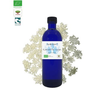 Hydrolat Carotte sauvage bio - 1l