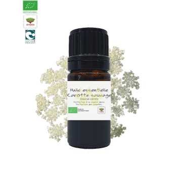 Diffuseur huile essentiel zen - BIEN-ÊTRE/AROMATHÉRAPIE - ETOILE HARMONIE