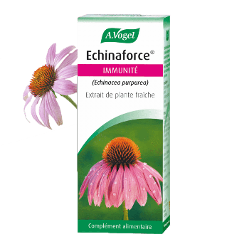 Echinaforce® Immunité - 50ml - A.Vogel