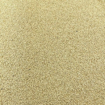 Quinoa Blanc Bio en Vrac 1kg