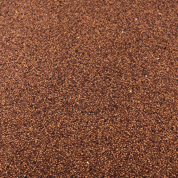 Quinoa Rouge Bio en Vrac 500g