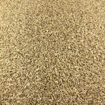 Riz Complet Bio en Vrac 10kg