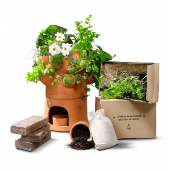 Pack potager composteur + Box de jeunes plants