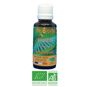 Amandier-Gemmotherapie-Bio-Herbiovital-Reins