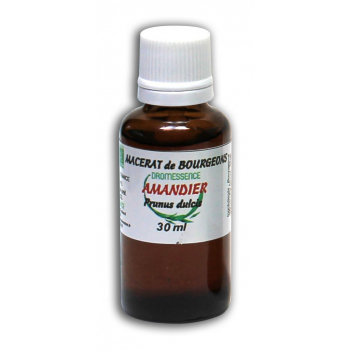 Macérât BIO de bourgeons : Amandier 10 ml DROMESSENCE
