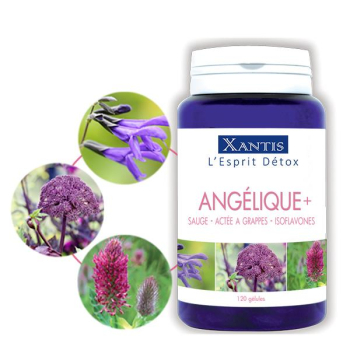 Angélique+ 120 gélules / 30 jours