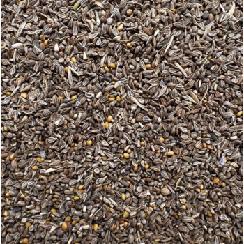 Anis sauvage BIO 50 gr