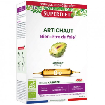 artichaut-bio-super-diet