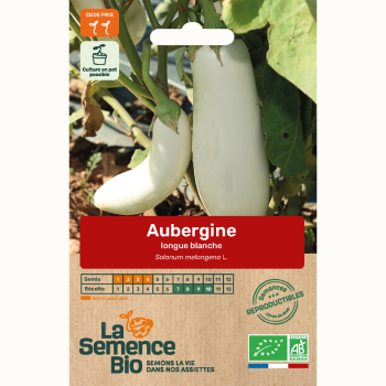semences-bio-reproductibles-aubergine-longue-blanche